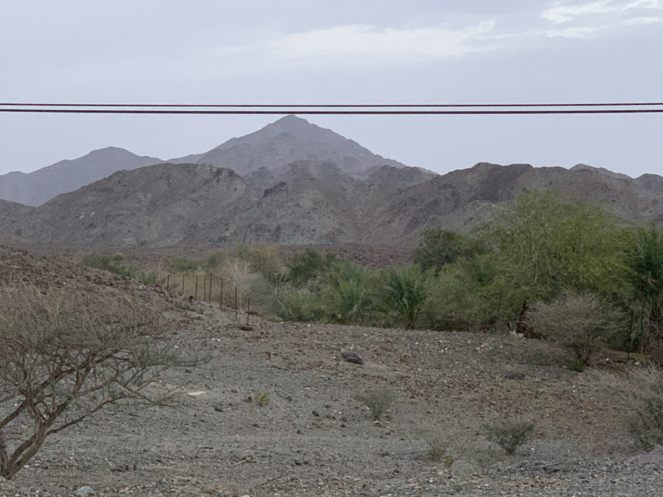 f8edadd6-c4d1-4253-8d1f-7065bfd0b824