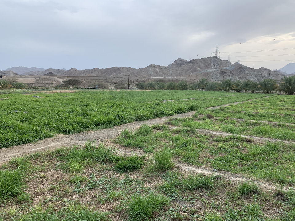 38449f83-4555-4bc5-8d5c-b860c35b49fe