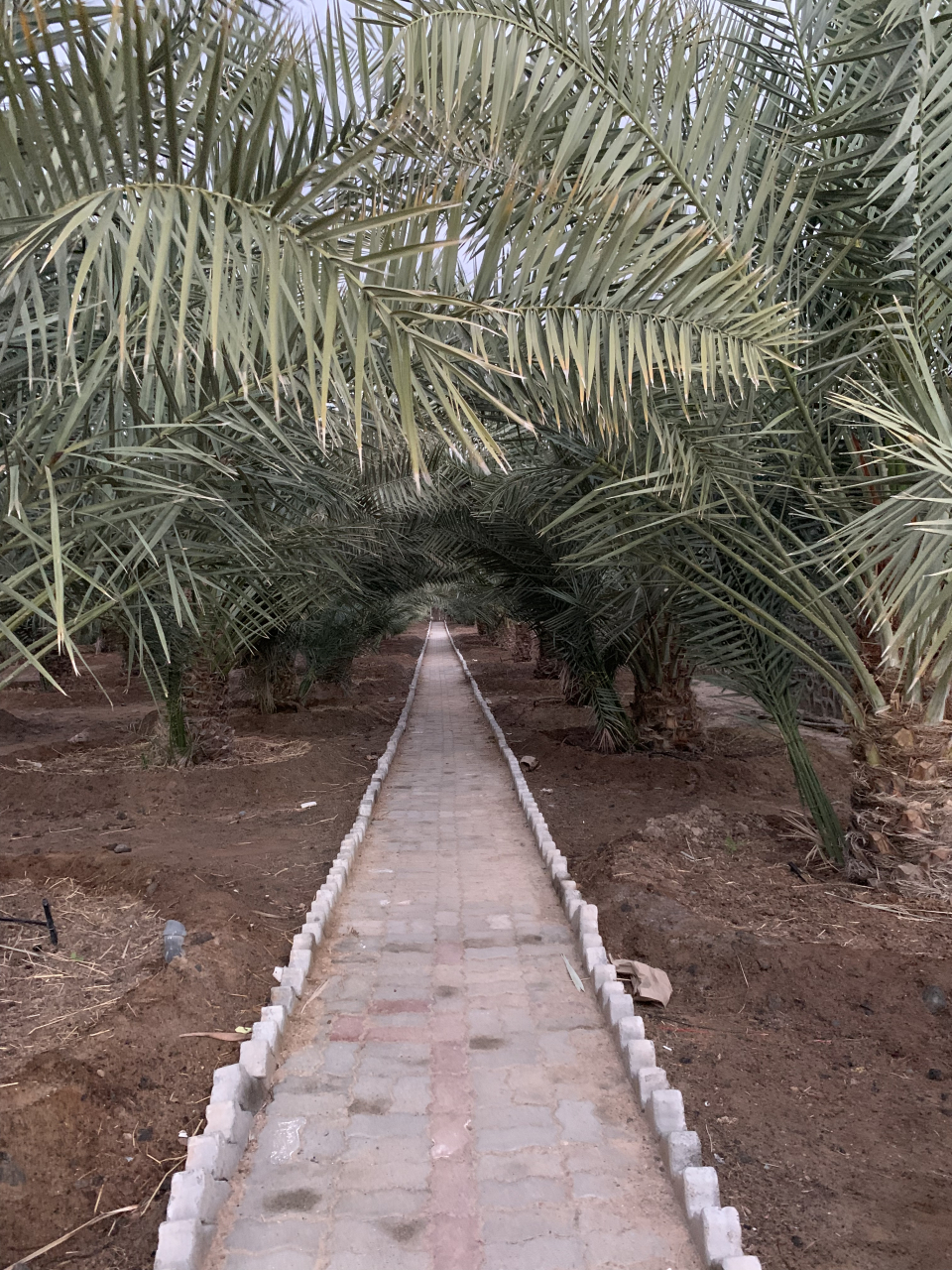 aae9eeb6-ea2a-4797-9f05-093d7c465178