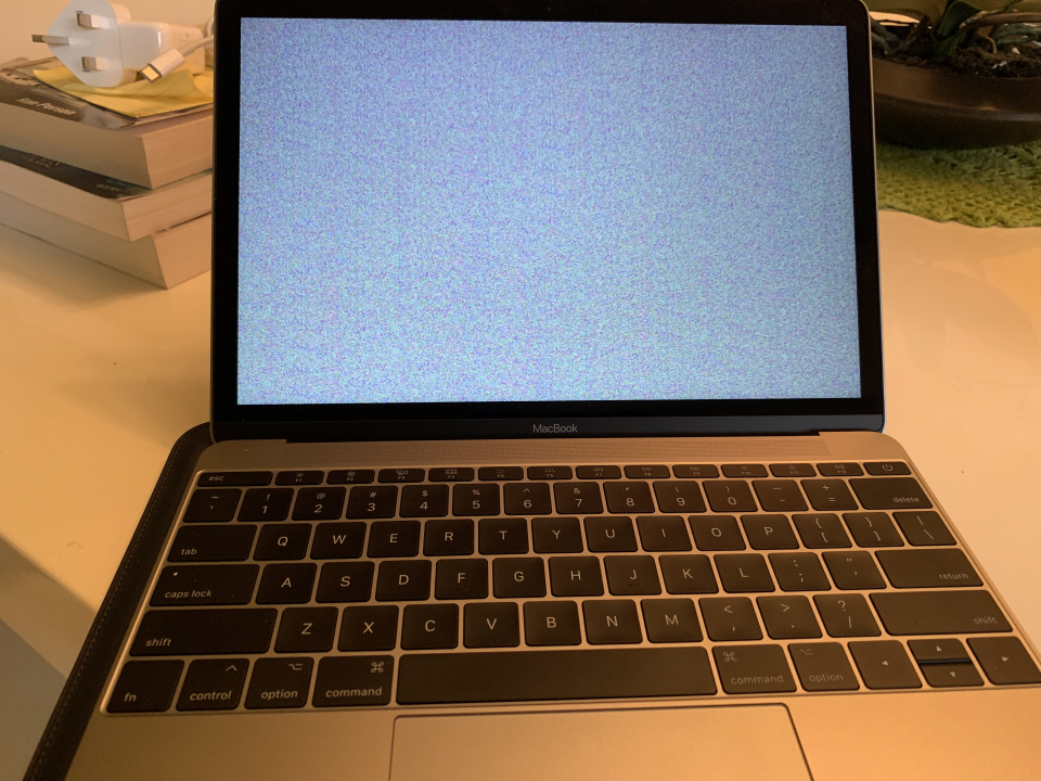 dc9ea2fb-ccc6-4548-9e75-45a06315ecf3