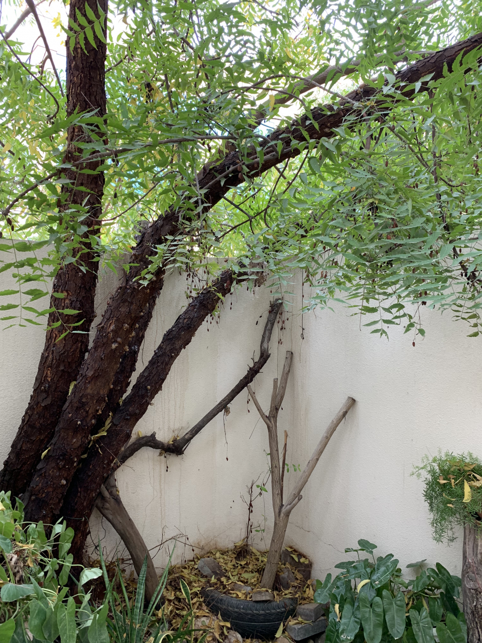 fe4d68a7-b7ed-420b-8004-a37fe256291c