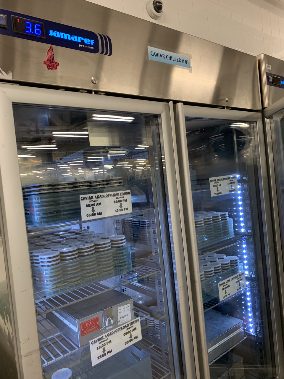 1e7acd9d-e398-4d31-8cd7-20955e0224f6