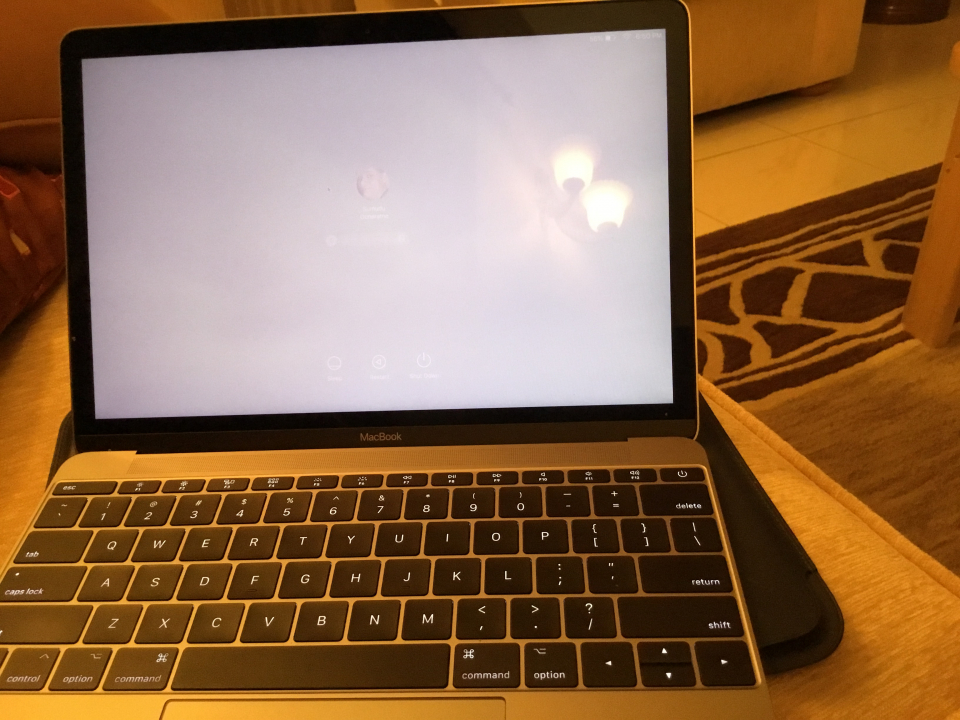 dbdaca84-2a61-4604-8047-8e5f7b03ceac